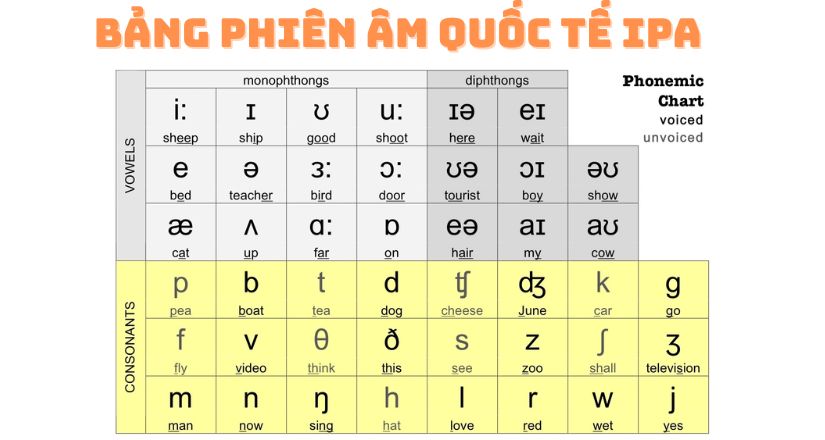 Tự học bảng phiên âm quốc tế IPA tại nhà